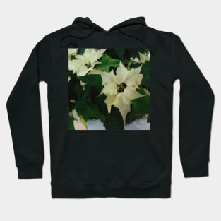 White Poinsettia Watercolor Flower  - Christmas Holiday Florals Hoodie